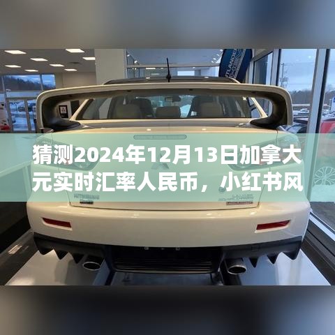 观往知来 第4页