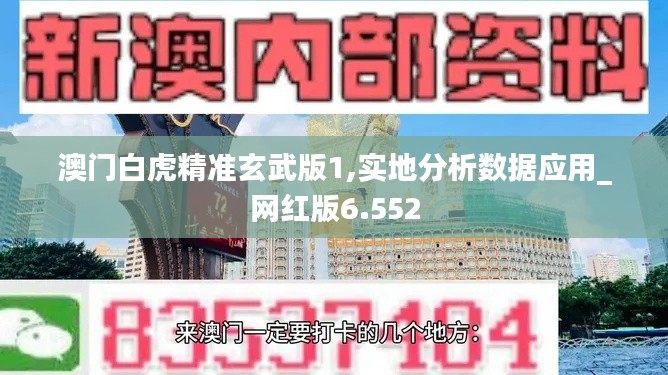 澳门白虎精准玄武版1,实地分析数据应用_网红版6.552