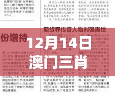 五角六张 第3页