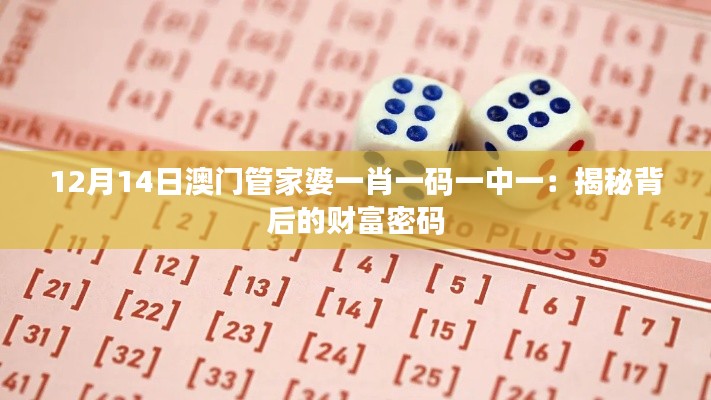 12月14日澳门管家婆一肖一码一中一：揭秘背后的财富密码