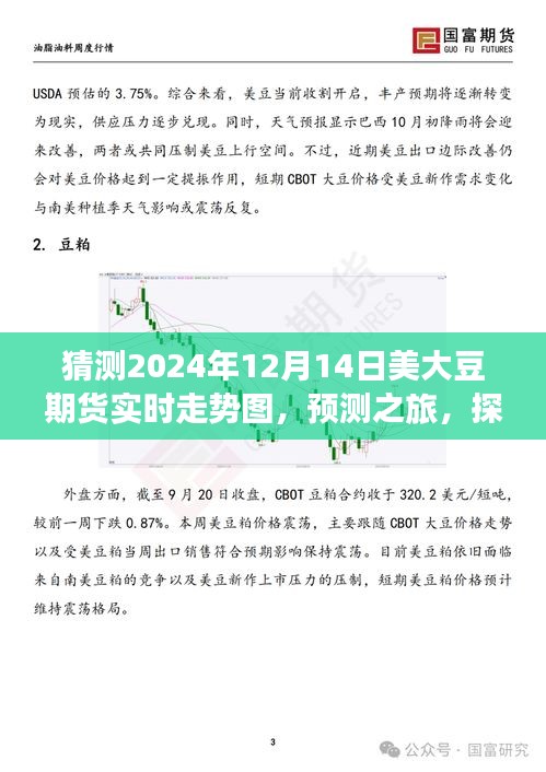 网店开店宝APP 第297页