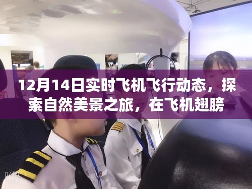 12月14日实时飞机动态，自然美景之旅，翅膀下的宁静与飞翔魔法