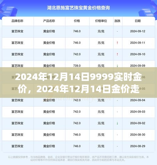 专家分析，2024年黄金价格走势展望与预测，实时金价及专家观点解读
