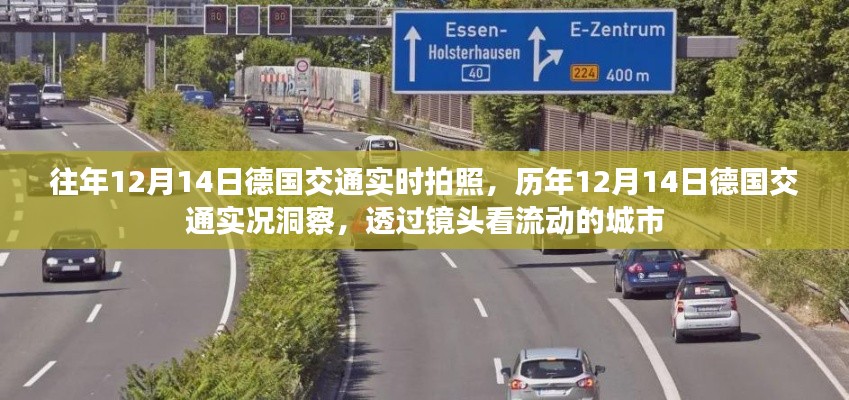 网店开店宝APP 第290页
