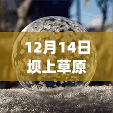气候分析