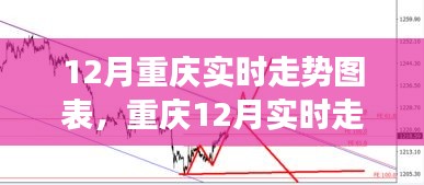 重庆12月实时走势图表深度解析，背景、事件与地位探讨
