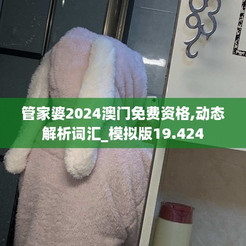管家婆2024澳门免费资格,动态解析词汇_模拟版19.424