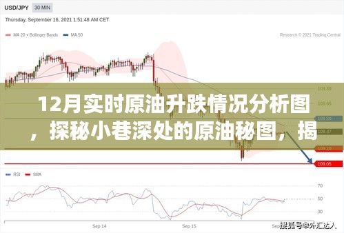 独学寡闻 第4页