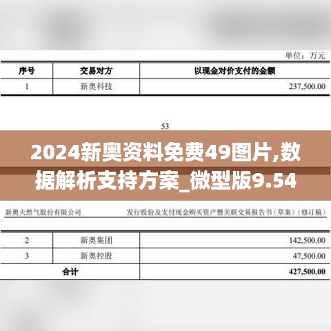 2024新奥资料免费49图片,数据解析支持方案_微型版9.540