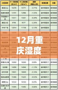 重庆十二月湿度实时解析与探秘