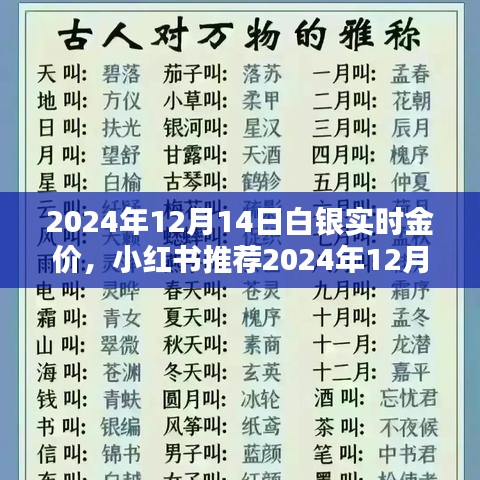 全解析