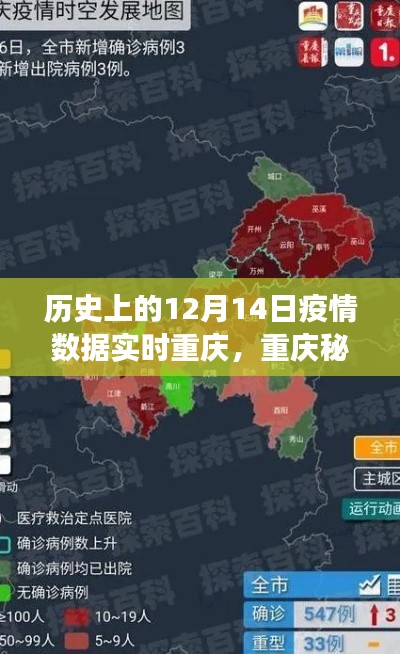 重庆疫情下的秘境探索，自然之旅与内心的宁静与力量，实时疫情数据回顾