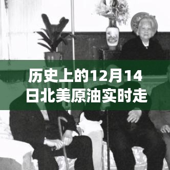 科技新纪元下的原油动态监测之旅，历史上的北美原油走势回顾（12月14日实时走势呈现）