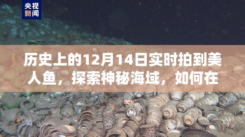 揭秘神秘海域，揭秘美人鱼现身真相，实时拍摄揭秘日！