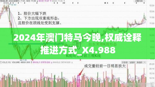 2024年澳门特马今晚,权威诠释推进方式_X4.988