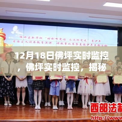 佛坪实时监控，科技守护的特殊日子之旅