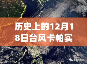 鸟栖虫居 第3页