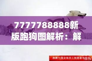 7777788888新版跑狗图解析：解码最新赛犬走势