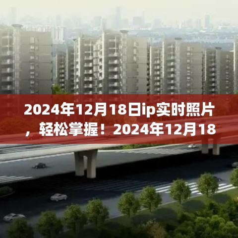 入门到进阶