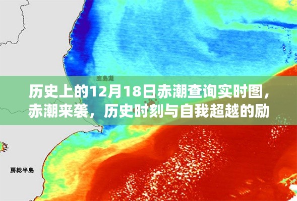 赤潮来袭，历史时刻与自我超越的励志篇章——实时赤潮查询图回顾与前瞻