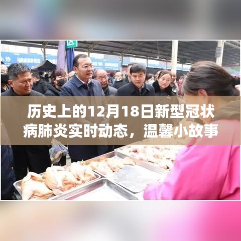飞蛾扑火 第3页