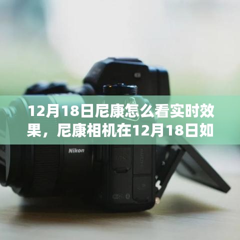 雅量高致 第4页