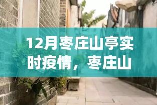 枣庄山亭疫情下的冬日温情与小店故事，特色小店的独特魅力与疫情实录