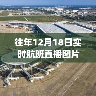 小心翼翼 第3页