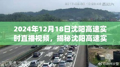 走马观花 第3页