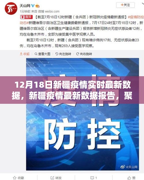 最新数据