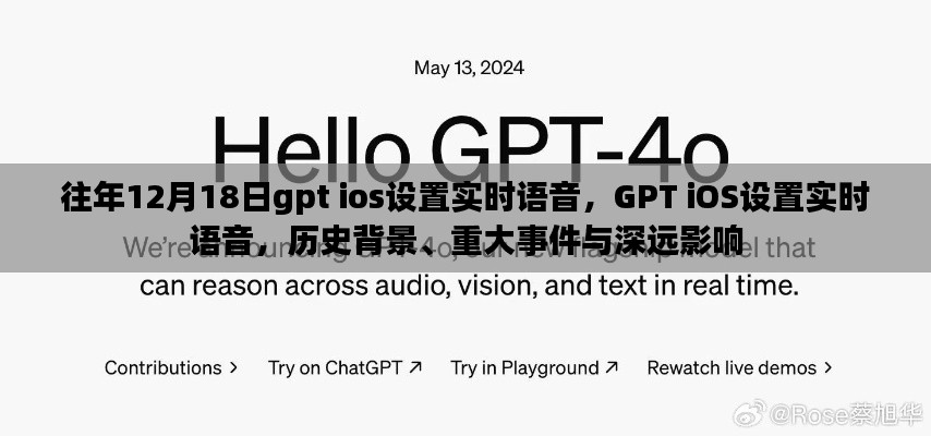 贵不可言 第3页