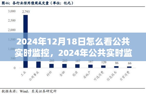 2024年公共实时监控技术深度洞察，观察、分析与展望