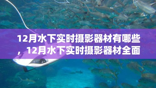 12月水下实时摄影器材详解，全面测评、特性、使用体验与竞品对比