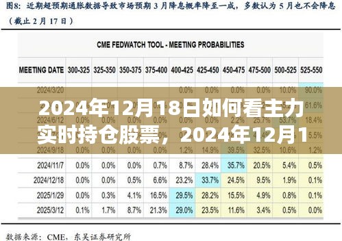 详细步骤指南，如何查看主力实时持仓股票（针对2024年12月18日）