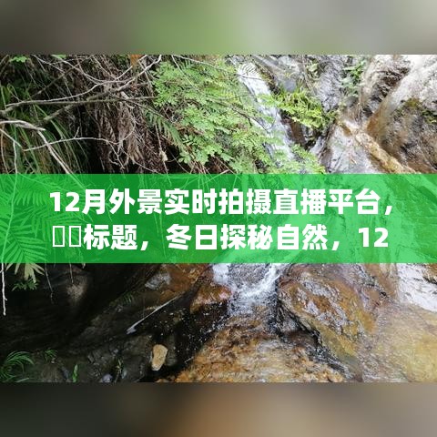 冬日探秘自然，12月外景实时拍摄直播，带你远离尘嚣，心灵平和之旅