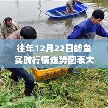 绝代佳人 第3页