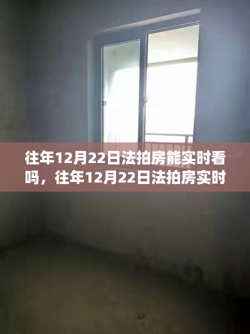 关于往年12月22日法拍房的实时查看可行性探讨