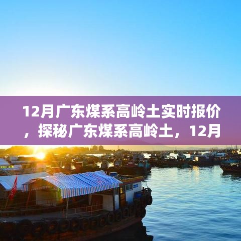 实时报价