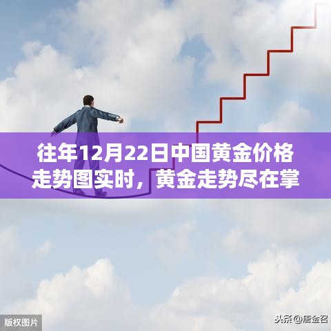 龙飞凤舞 第3页
