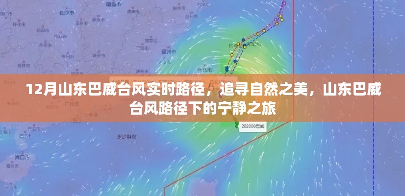 自然之美