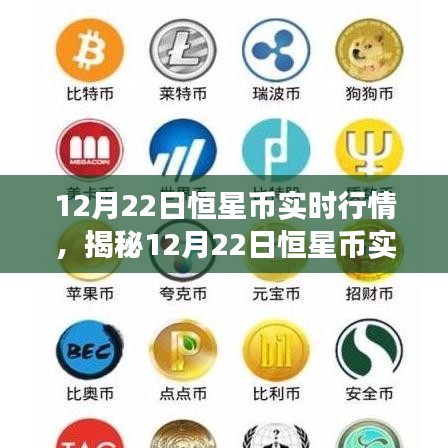 未来展望