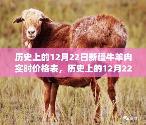 历史上的12月22日新疆牛羊肉价格走势，市场变迁与实时价格表回顾洞悉价格走势