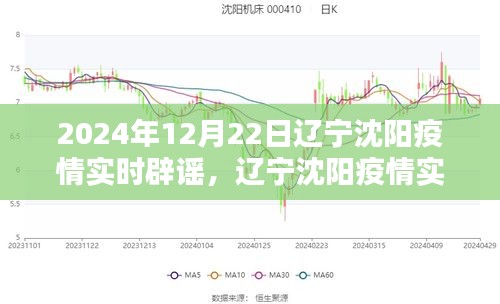 2024年辽宁沈阳疫情实时辟谣平台评测，疫情信息的权威发布与公众反应