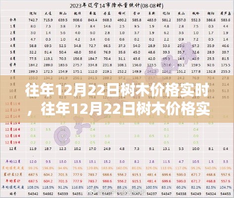 往年12月22日树木价格实时解析及深度评测介绍