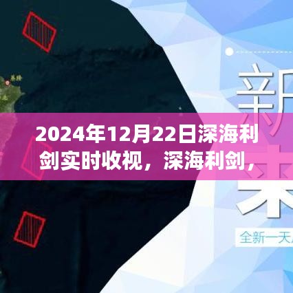 争议揭秘