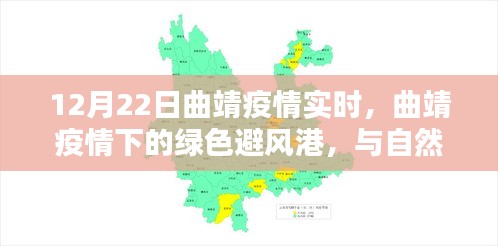 曲靖疫情下的绿色避风港，与自然共舞寻找内心宁静的实时报道
