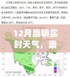 崇明岛12月暖阳下的温情日常，与朋友共度美好时光