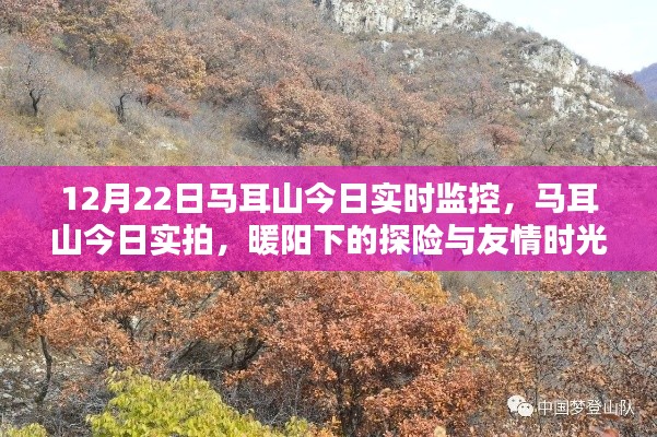 流光飞舞 第3页