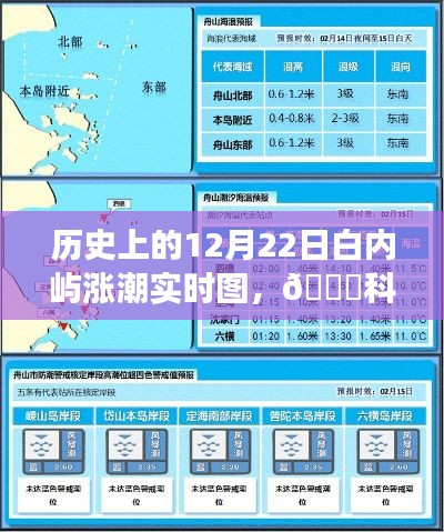 正声雅音 第3页