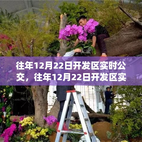 出行无忧